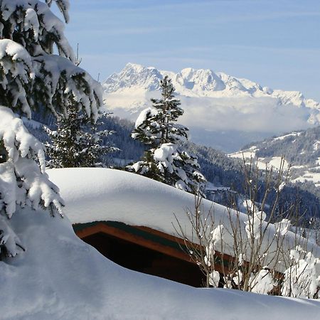 Chalets Ebner Eben Im Pongau Kültér fotó